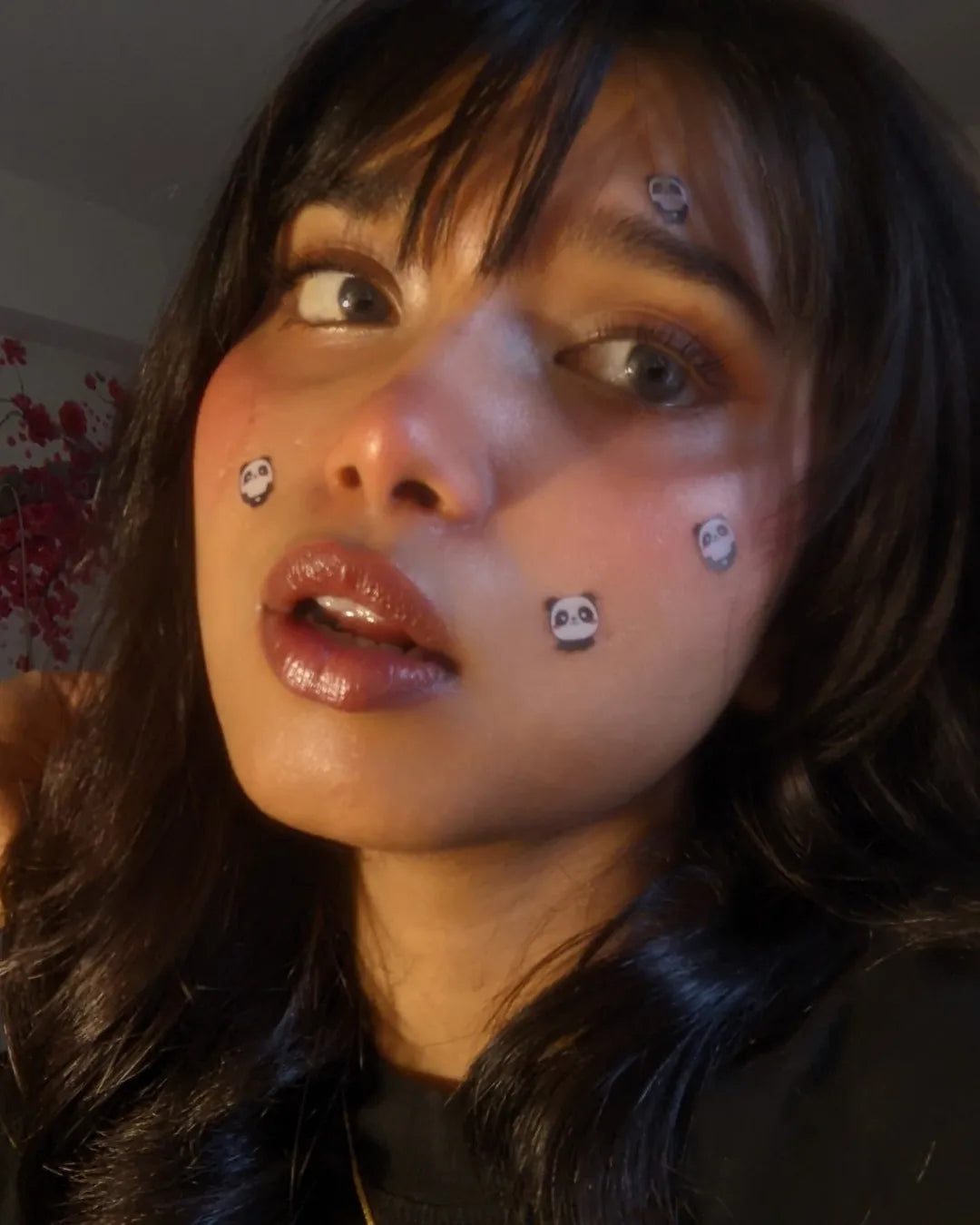 transparent, star and panda combo